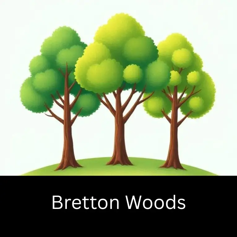 Bretton Woods CPD Training Bretton Woods CPD module – Global Financial Architecture – Easy Institute